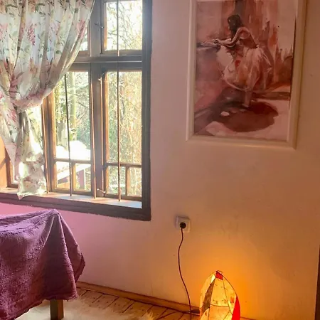средище веди макрина Villa *