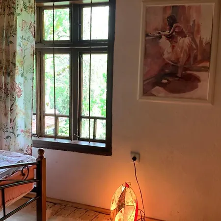 средище веди макрина *