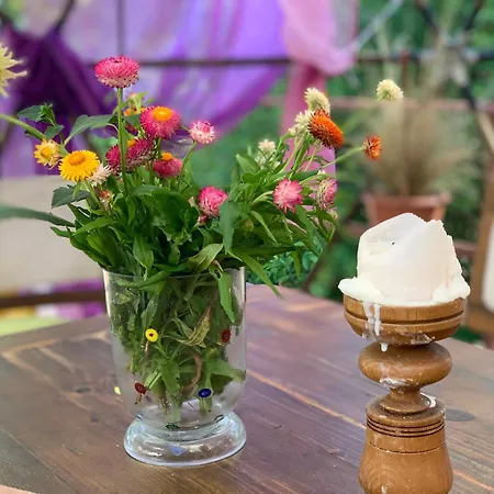 средище веди макрина 빌라