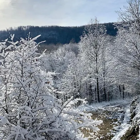 средище веди макрина 빌라 가브로보