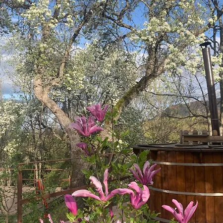 средище веди макрина 빌라 *