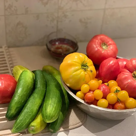 средище веди макрина * גברובו