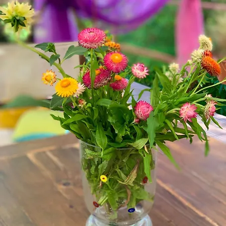 средище веди макрина 빌라