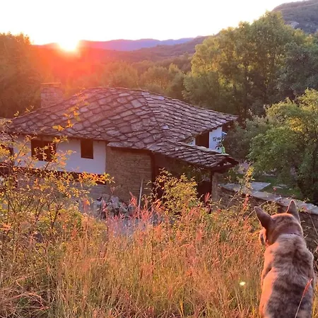 средище веди макрина 가브로보