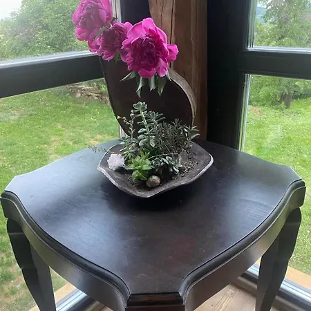 средище веди макрина וילה