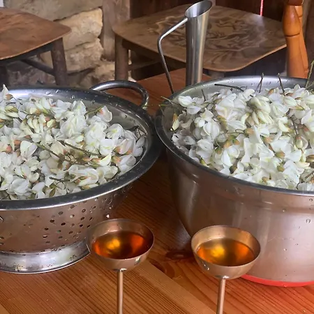 средище веди макрина * גברובו