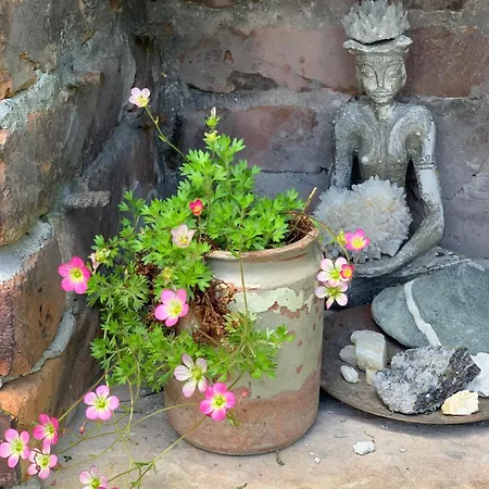 빌라 средище веди макрина 가브로보