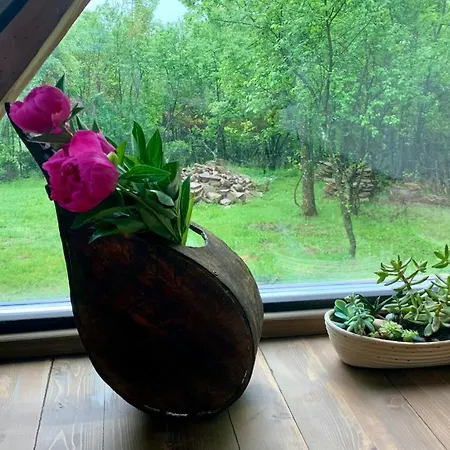 средище веди макрина * גברובו