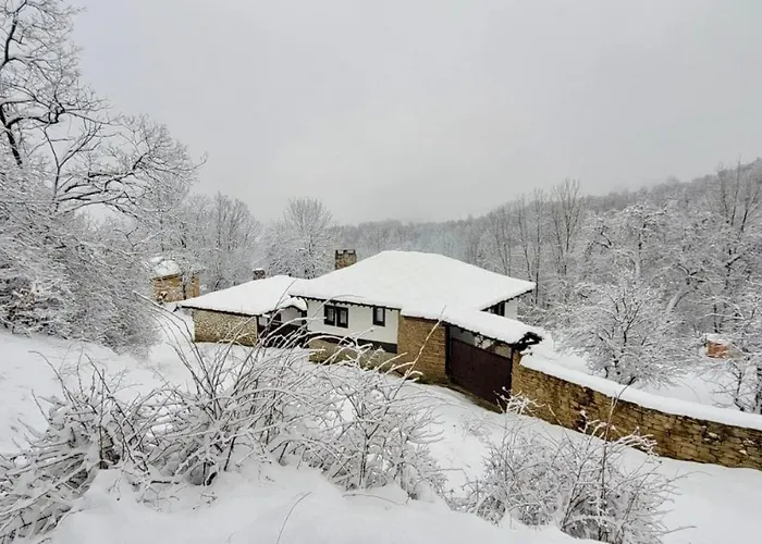 средище веди макрина * Gabrovo