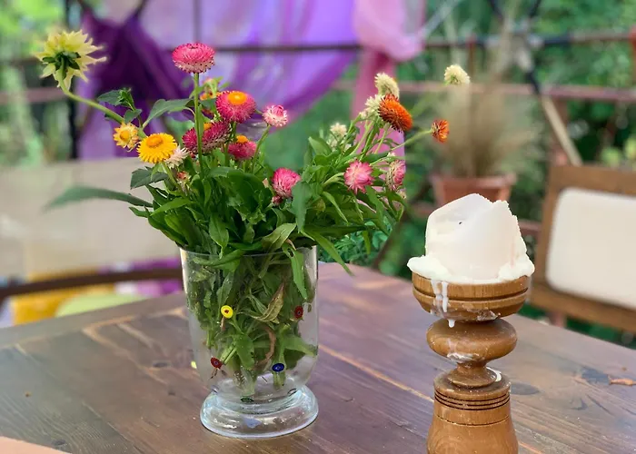 средище веди макрина Villa