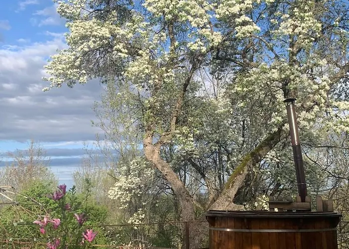 Villa средище веди макрина Gabrovo