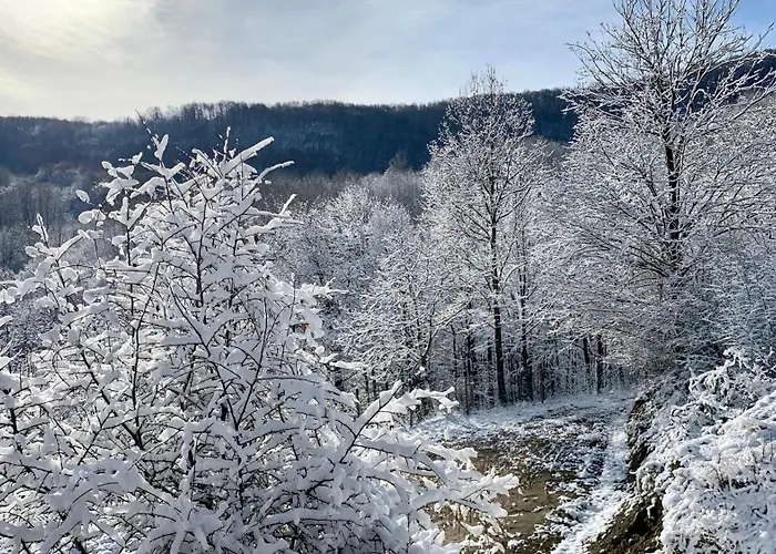 средище веди макрина Villa Gabrovo