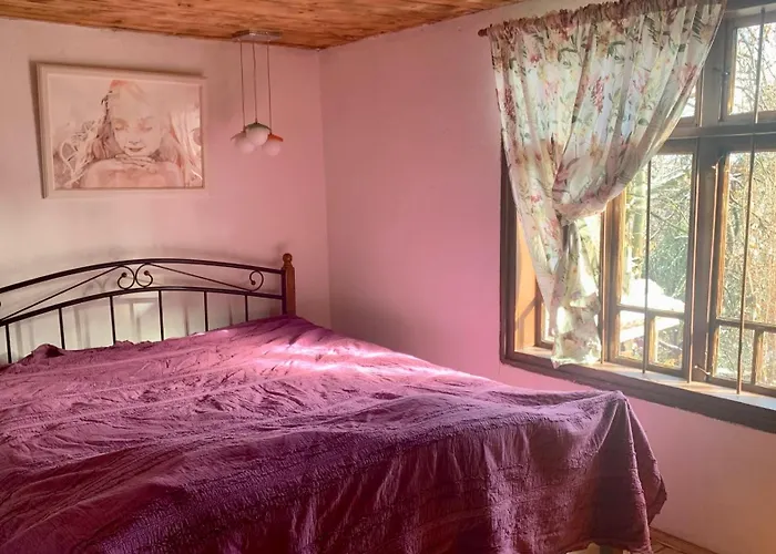 средище веди макрина *