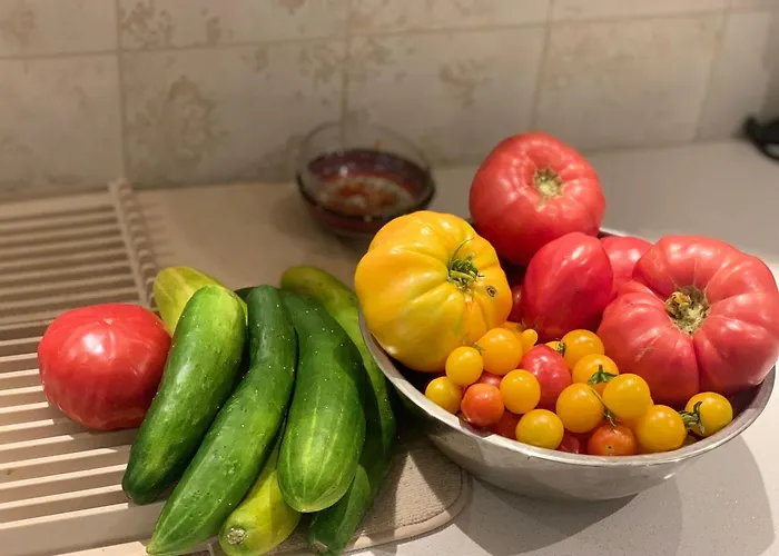 средище веди макрина * Gabrovo