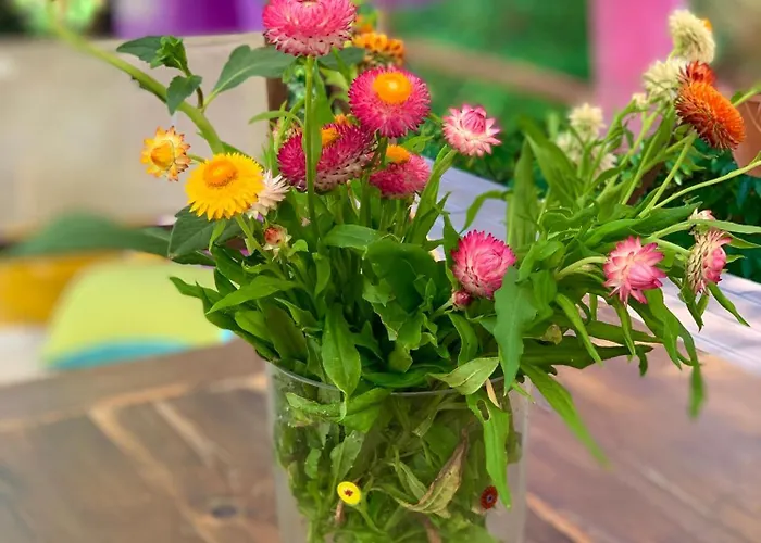 средище веди макрина Villa