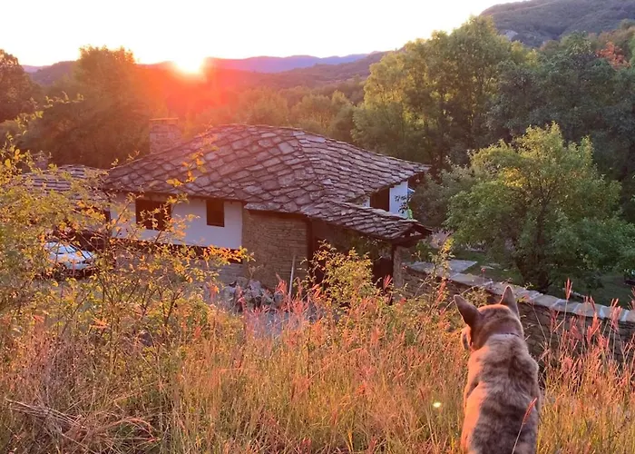 средище веди макрина Gabrovo
