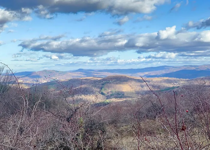 средище веди макрина