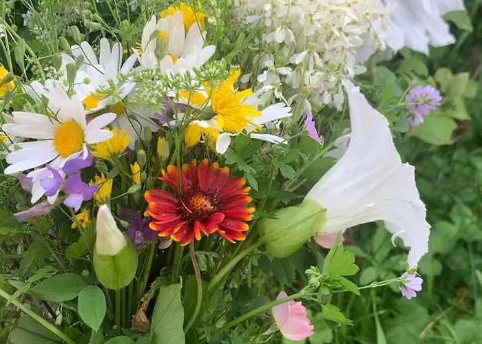 Villa средище веди макрина