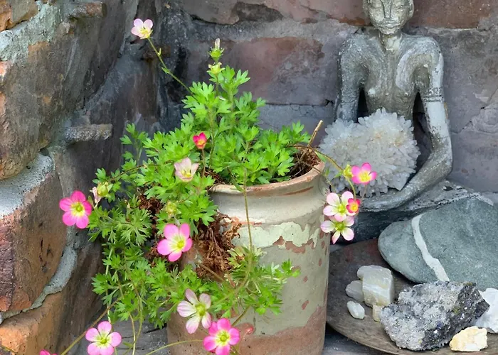 Villa средище веди макрина Gabrowo