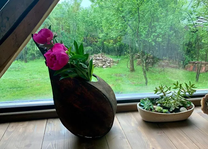 средище веди макрина * Gabrowo