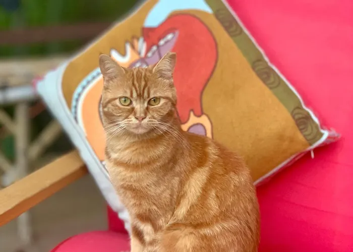 средище веди макрина *